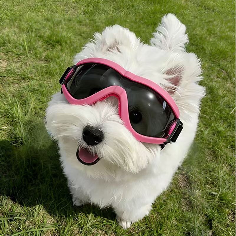 犬用ゴーグル 小型中型犬用 UV保護 防風ペットサングラス  - Sunglass Retainer Cord のレビューと価格