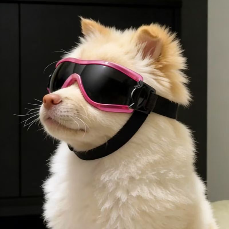 犬用ゴーグル 小型中型犬用 UV保護 防風ペットサングラス  - Sunglass Retainer Cord のレビューと価格